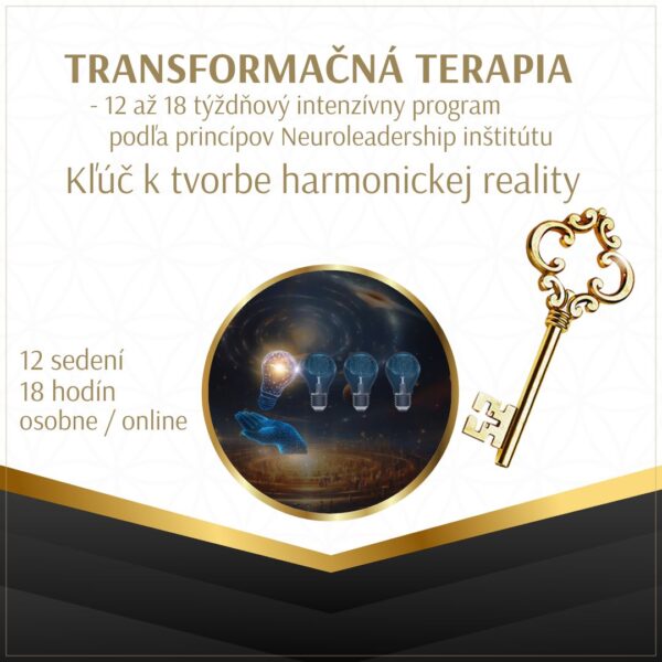 transformačná terapia